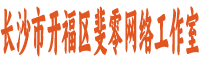 长沙市斐零网络